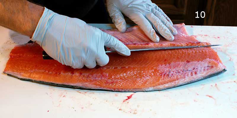 Knifestock BLOG - Hoe zalm correct te fileren