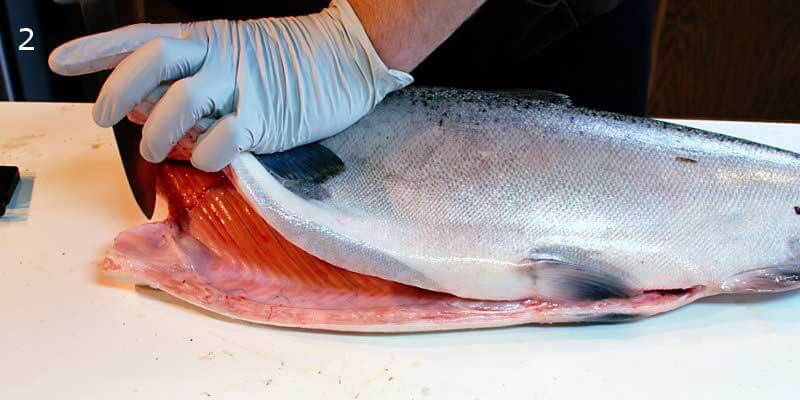 Knifestock BLOG - Hoe zalm correct te fileren
