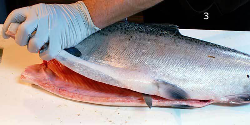 Knifestock BLOG - Hoe zalm correct te fileren