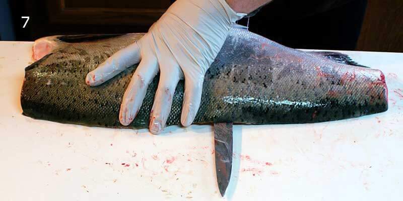 Knifestock BLOG - Hoe zalm correct te fileren